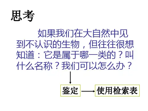 制作检索表