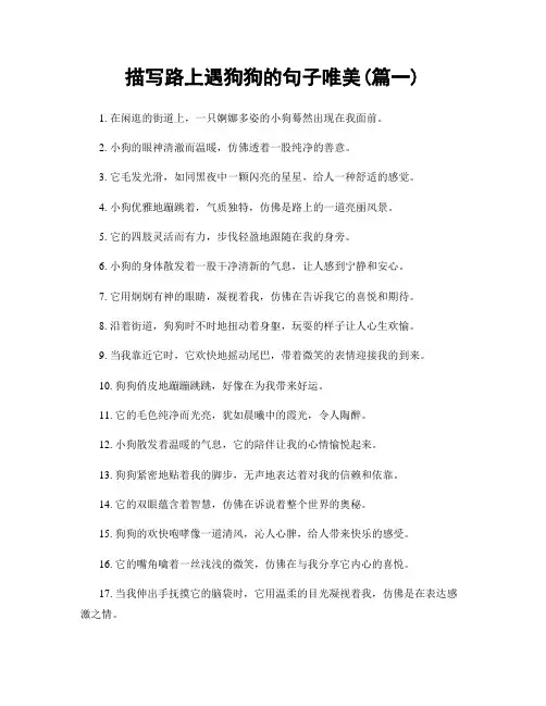 描写路上遇狗狗的句子唯美(精选2篇)