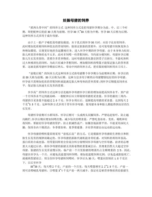 妊娠母猪的饲养