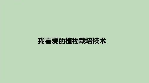 五级综合实践活动课件-我喜爱的植物栽培方式 全国通用(共10张PPT)