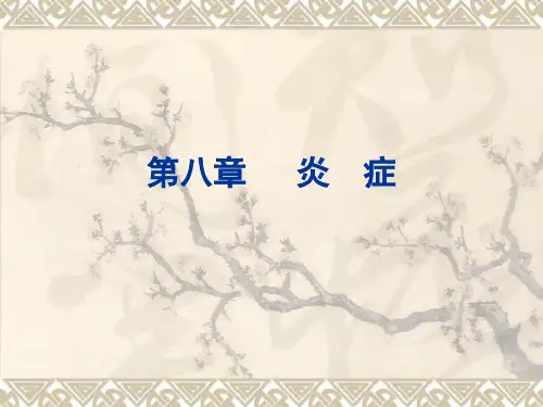 炎 症PPT课件