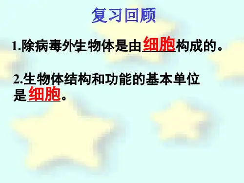 苏教版生物七年级上册4.1单细胞生物