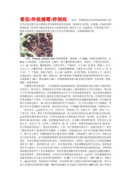 番茄病虫害防治图谱2