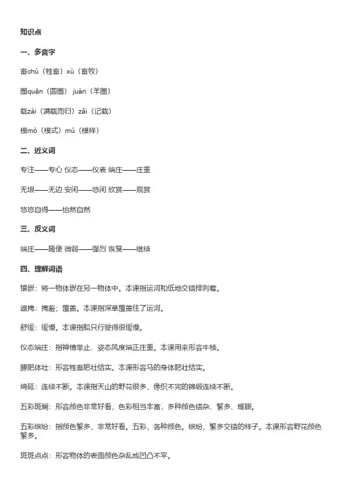 部编五年级语文(下册)第19课《牧场之国》精讲