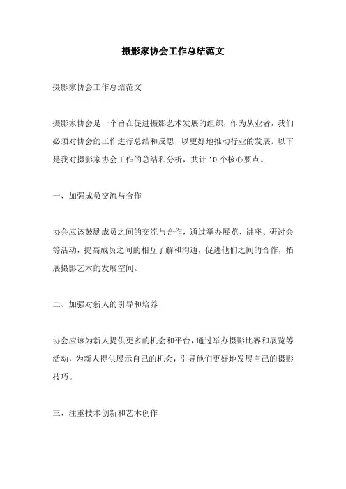 摄影家协会工作总结范文