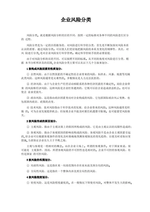 企业风险分类