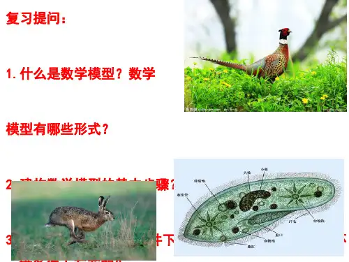 酵母菌实验及题[优质ppt]
