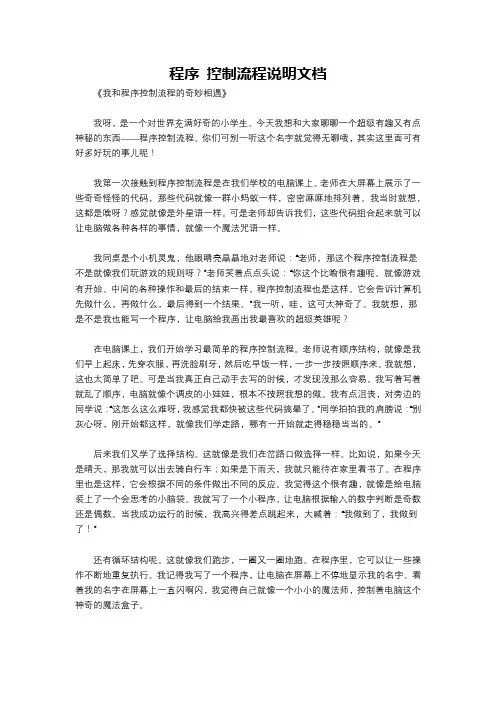 程序 控制流程说明文档