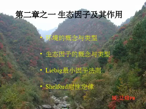 生态因子及其作用ppt课件