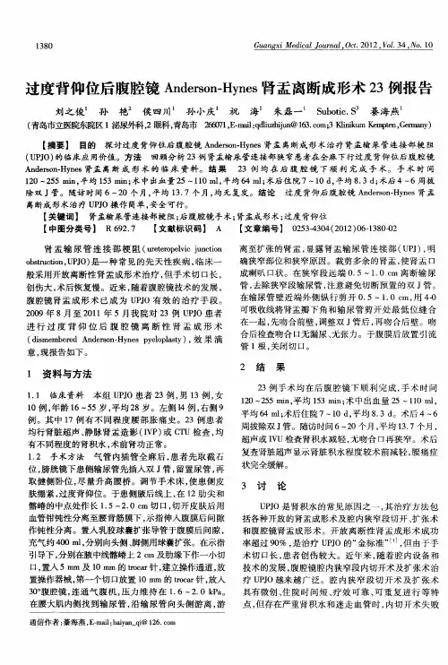 过度背仰位后腹腔镜Anderson-Hynes肾盂离断成形术23例报告
