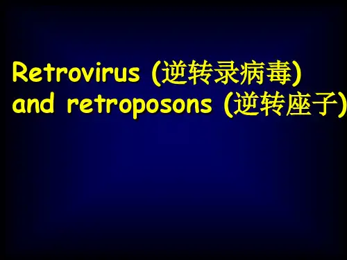 分子生物学