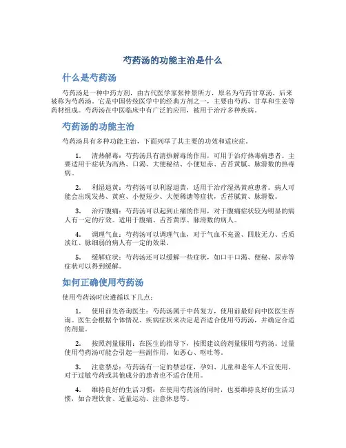芍药汤的功能主治啊是什么