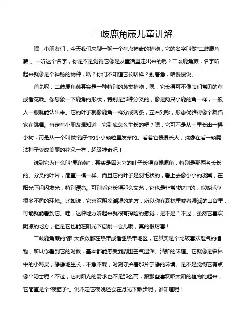 二歧鹿角蕨儿童讲解