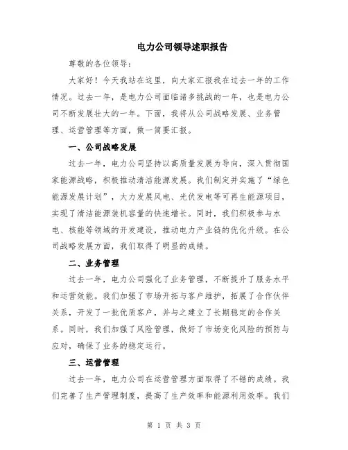 电力公司领导述职报告