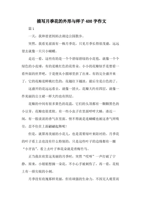 描写月季花的外形与样子400字作文