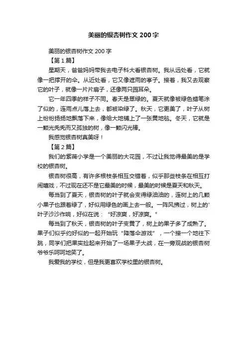 美丽的银杏树作文200字