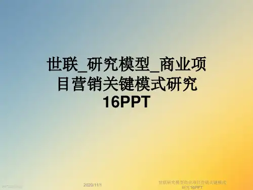世联研究模型商业项目营销关键模式研究16PPT