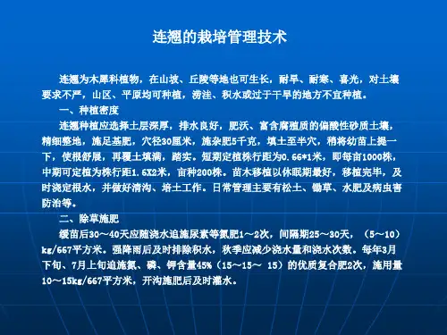 连翘的栽培管理技术