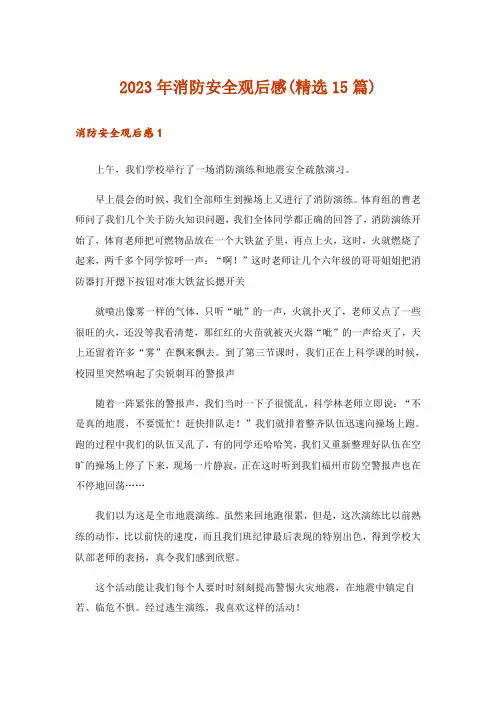 2023年消防安全观后感(精选15篇)