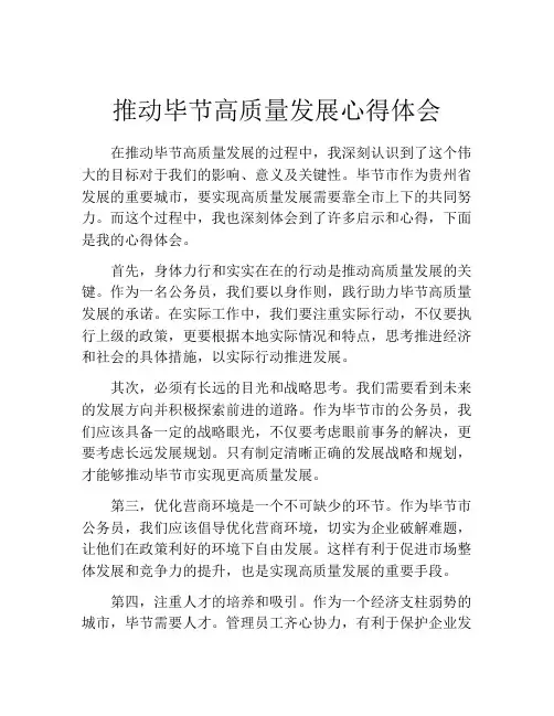 推动毕节高质量发展心得体会