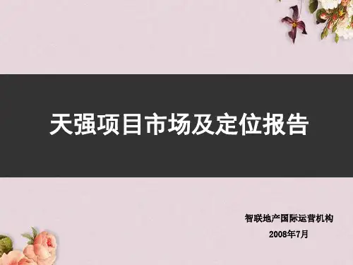 某项目市场与目标定位报告(ppt 43页)