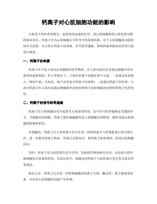 钙离子对心肌细胞功能的影响
