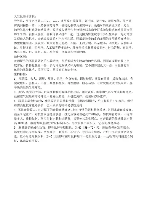 饲养天竺鼠基本常识