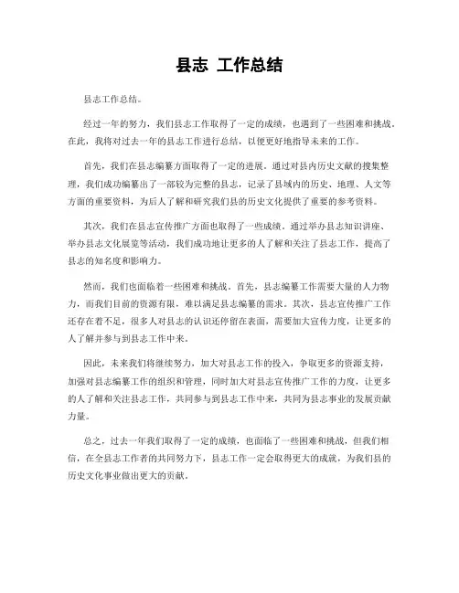 县志 工作总结