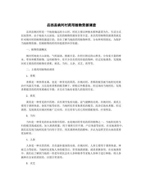 岳西县姚河村药用植物资源调查