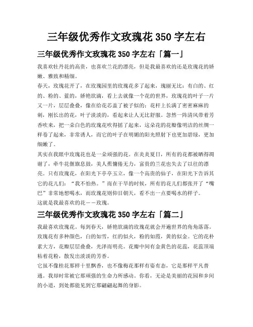 三年级优秀作文玫瑰花350字左右