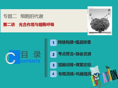 京津鲁琼专用2020版高考生物二轮复习专题二第二讲光合作用与细胞呼吸课件