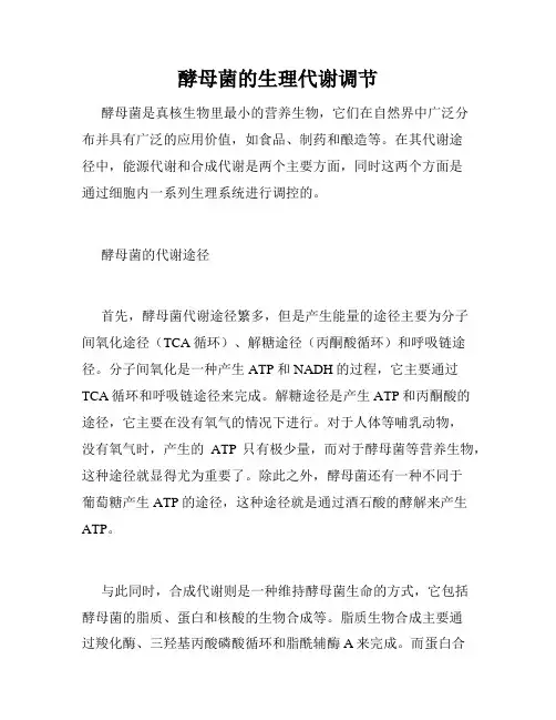酵母菌的生理代谢调节