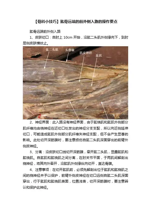 【骨科小技巧】肱骨远端的前外侧入路的操作要点