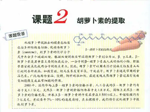 人教版高中生物课件选修一胡萝卜素的提取公开课