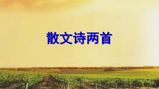 第07课散文诗两首七年级语文上册高效课堂(4)