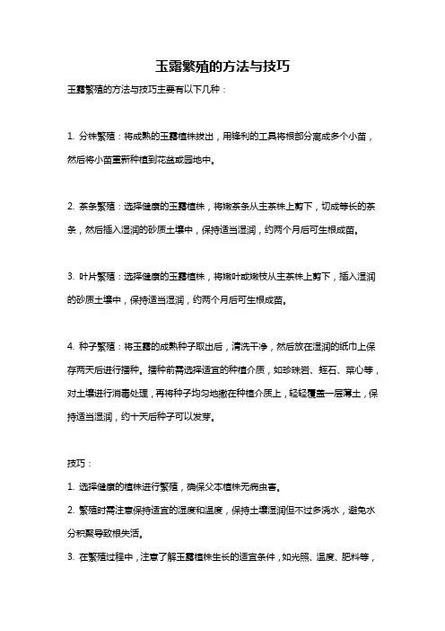 玉露繁殖的方法与技巧