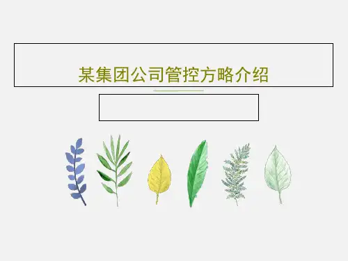 某集团公司管控方略介绍44页PPT