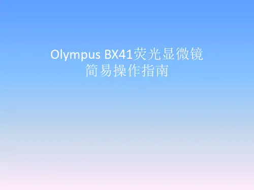 Olympus BX41荧光显微镜简易操作指南