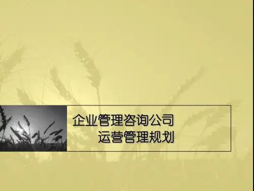 企业管理咨询公司运管理规划