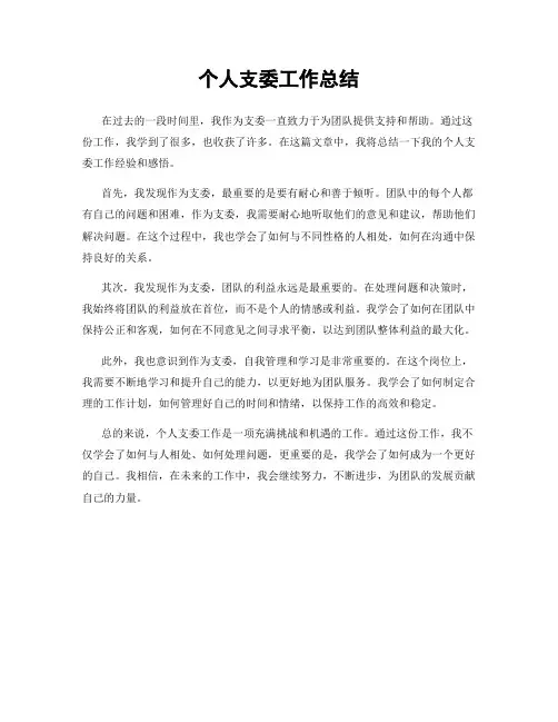 个人支委工作总结