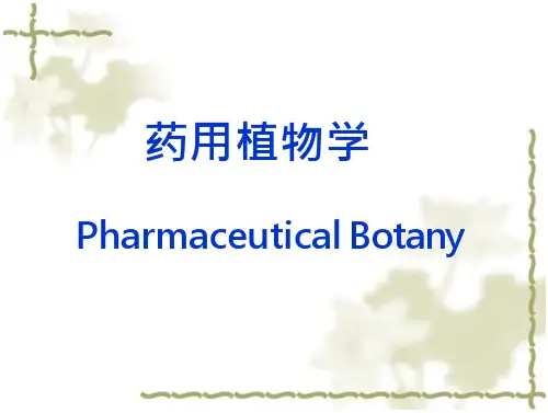 药用植物学绪论药用植物学绪论