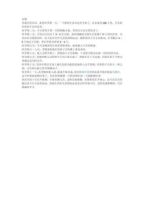 造人的详细进程