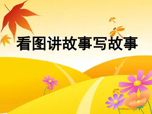 二年级看图写话《猫和老鼠》