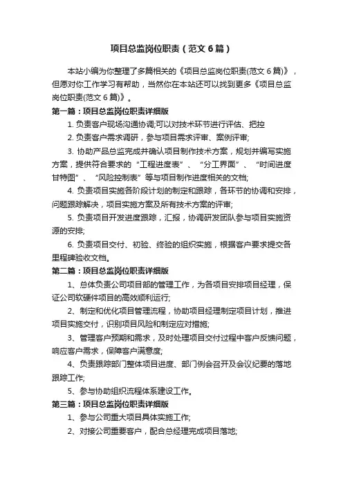 项目总监岗位职责（范文6篇）