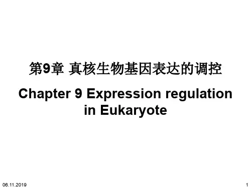 第9章+真核生物基因表达的调控-86页PPT精选文档