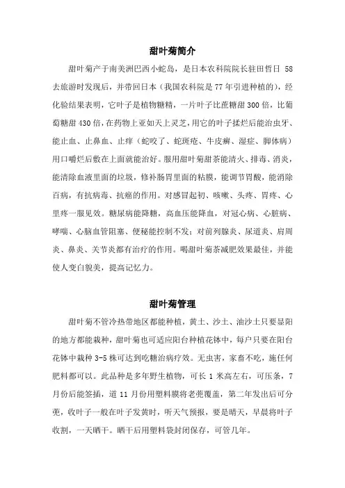 甜叶菊