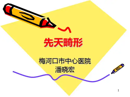 先天畸形PPT课件