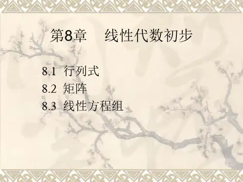 高等数学课件第8章 线性代数基础