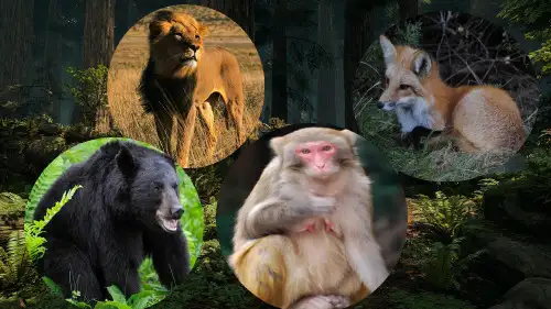 18小猴子下山课件(共18张PPT)