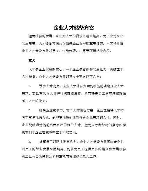 企业人才储备方案